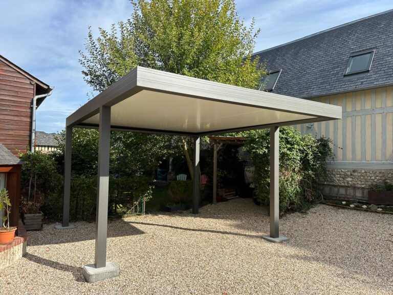 Abri de voiture moderne dans un jardin.