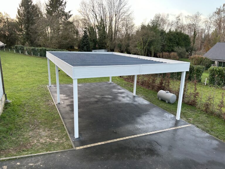 Abri de voiture moderne dans jardin verdoyant.